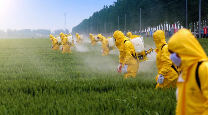 spargimento di pesticidi su colture