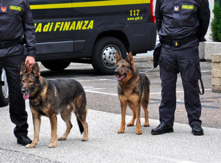 traffico di hashish Trento