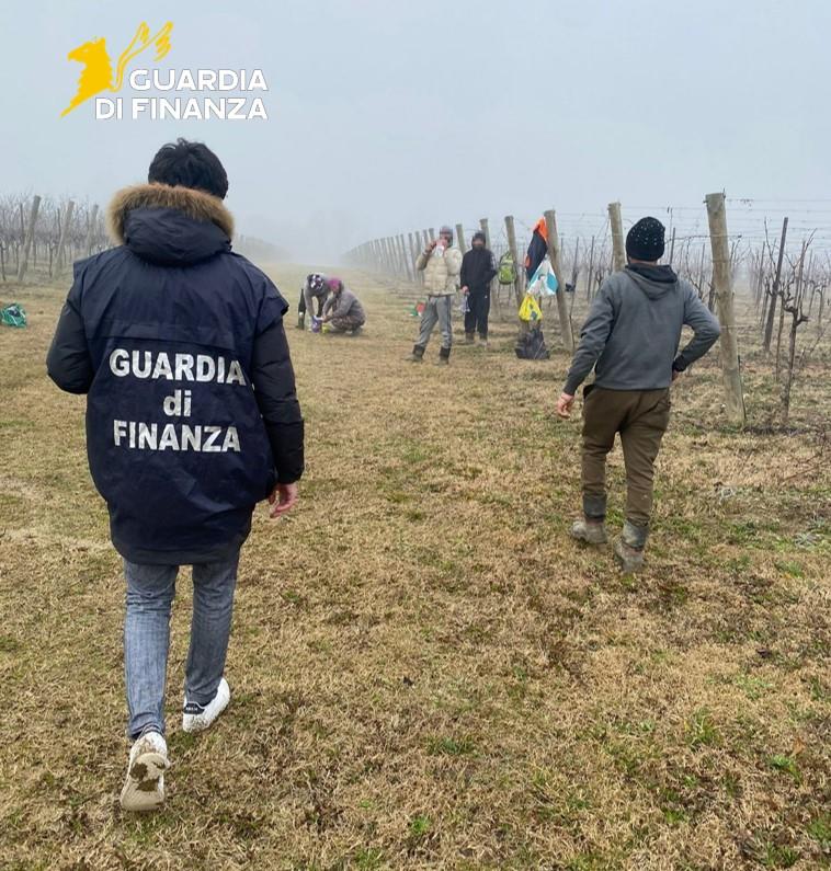 lavoro nero cantine finanza