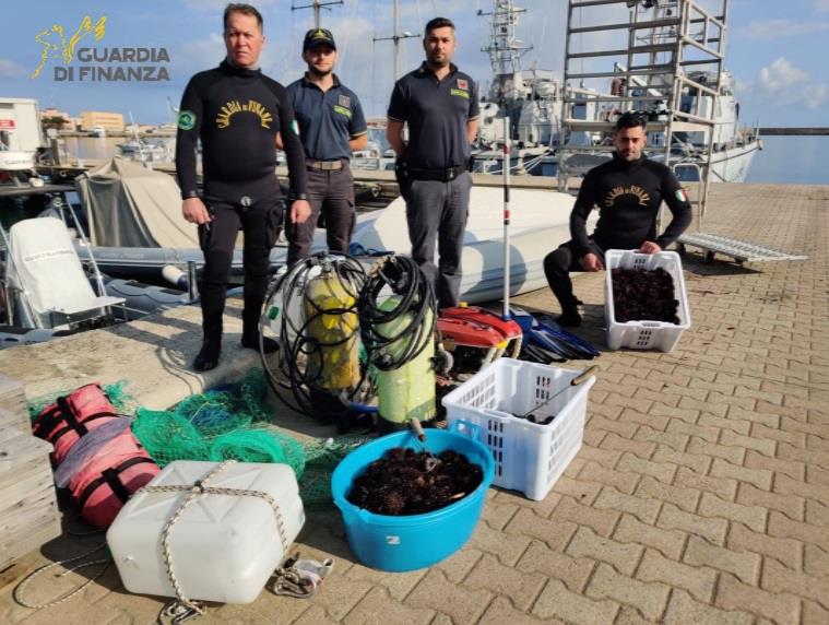 sequestro ricci di mare