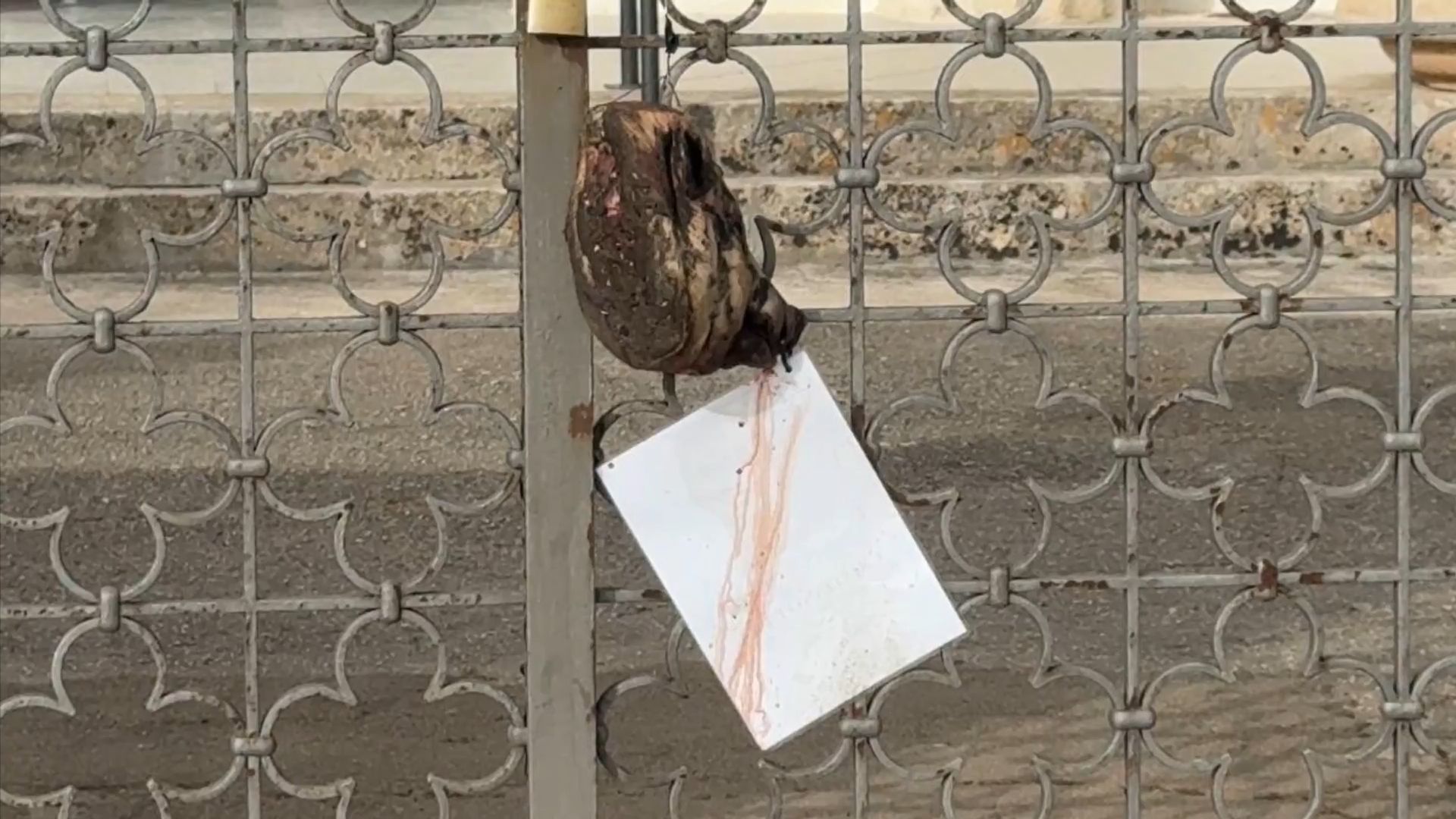 testa di maiale cimitero Ugento