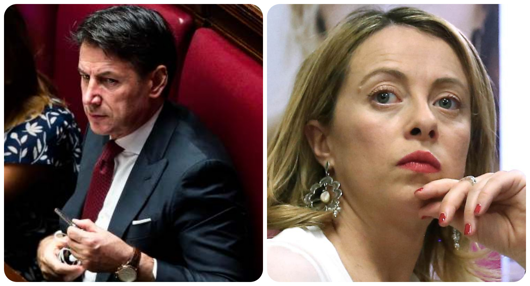 sondaggi politici conte meloni