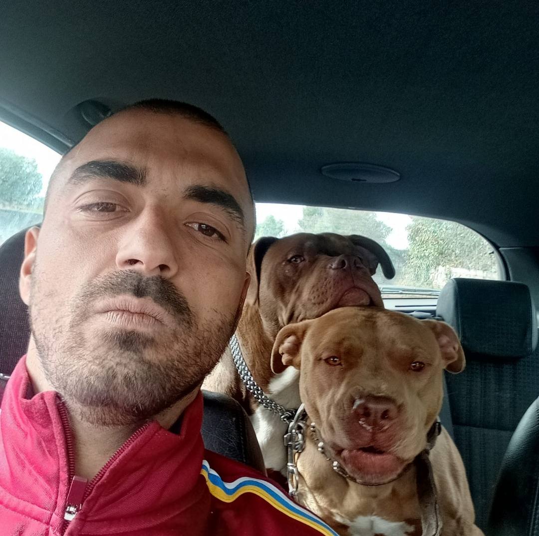 franco lollobrigida
