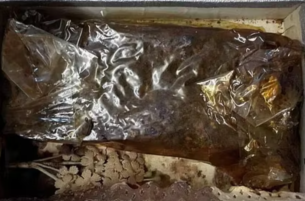 torta