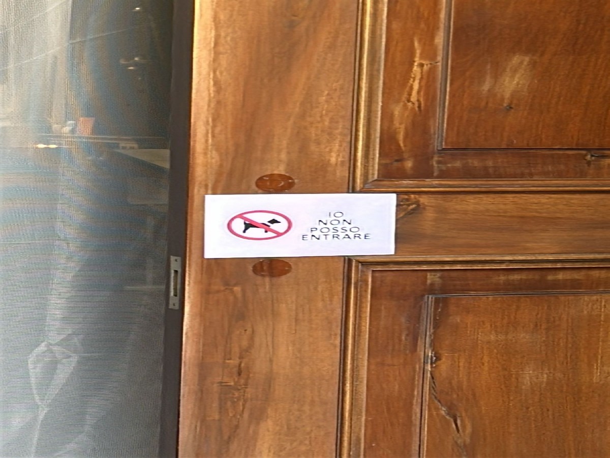 Verona, il parroco di San Niccolò contro i cani in chiesa